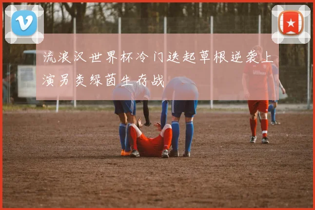 流浪汉世界杯冷门迭起草根逆袭上演另类绿茵生存战