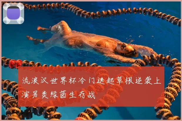 流浪汉世界杯冷门迭起草根逆袭上演另类绿茵生存战