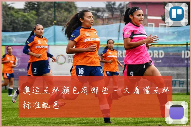 奥运五环颜色有哪些 一文看懂五环标准配色