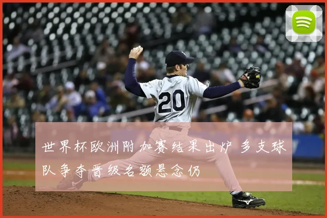 世界杯欧洲附加赛结果出炉 多支球队争夺晋级名额悬念仍