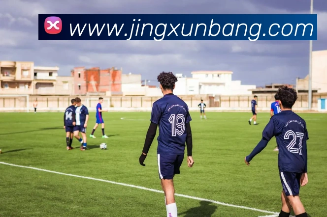 kaiyun体育app官网网页登录入口平台生态图