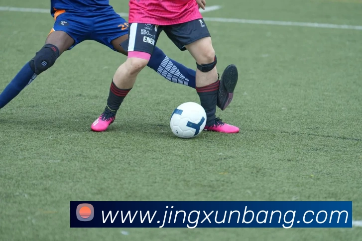 kaiyun体育app官网网页登录入口APP 封面图